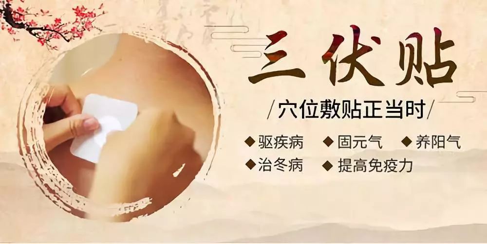關(guān)于三伏貼，你了解多少呢？